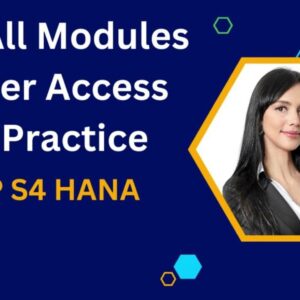 SAP S4Hana Server - 3 Month Access
